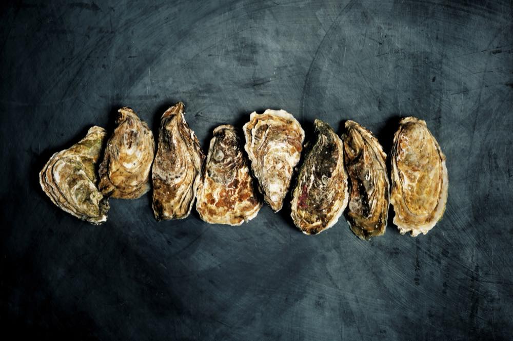 A row of opened oysters laid on dark slate