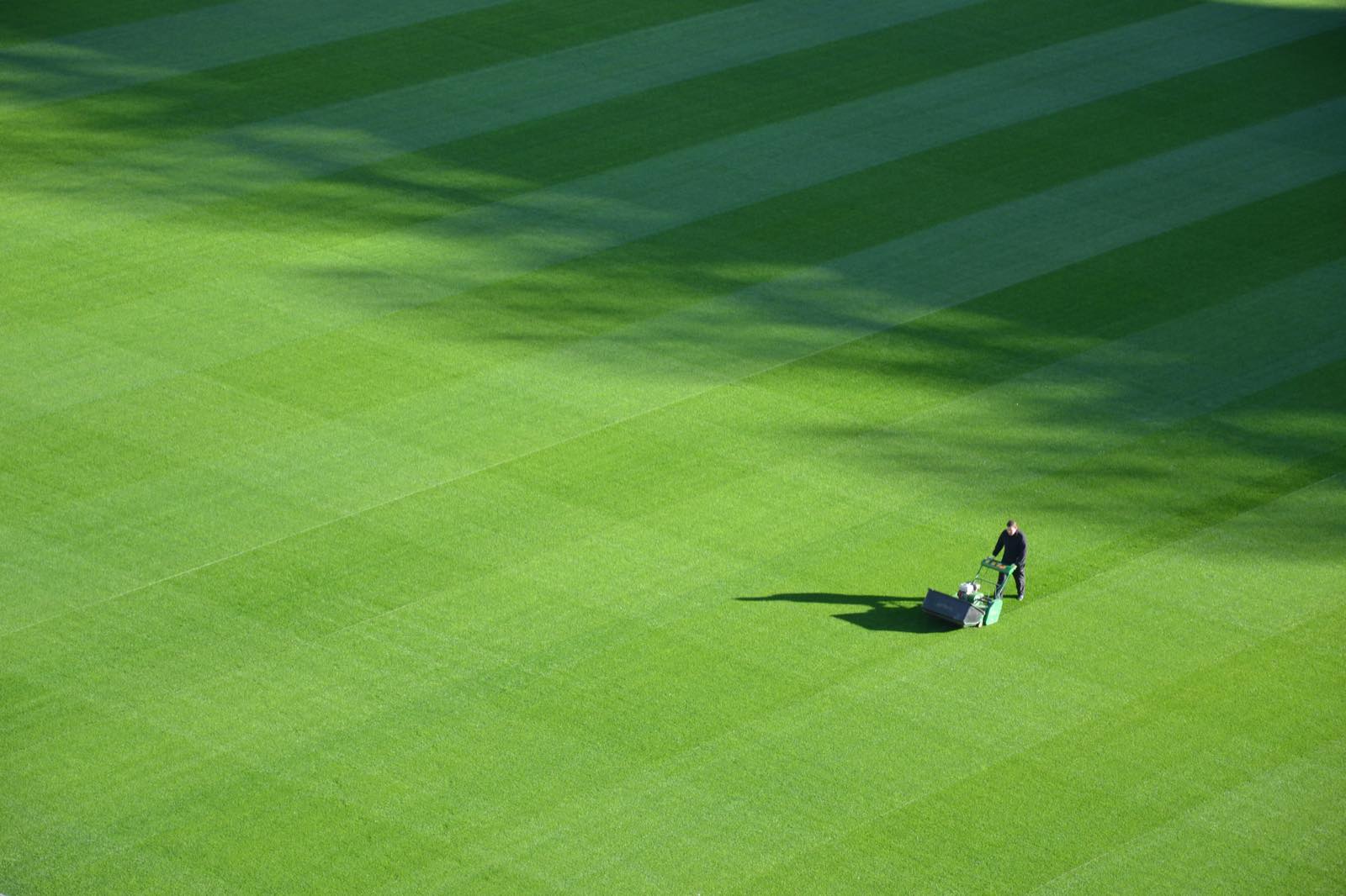 A large striped lawn seen from above with a single mower at work